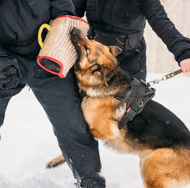 RDS security patrols in UK