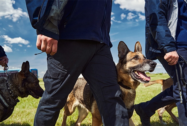 patrol dogs security in UK